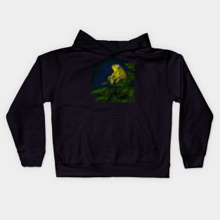 Quiet Summer Nights - Frog Kids Hoodie